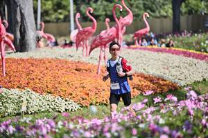 BIB: 
                            <button type="button" onclick="openModal(27793322)" class="btn btn-primary btn-sm float-right btn-popup" data-toggle="modal" data-target=".modal-high-quality">
                        <i class="fas fa-shopping-cart"></i> Add to Cart
                    </button>
                                            <button type="button" onclick="isThisMe(27793322, true)" class="btn btn-success btn-sm float-right btn-popup btn-isme hidden" data-toggle="tooltip" data-placement="bottom" title="นี่คือรูปของคุณใช่ไหม คลิกที่นี่เพื่อเอาเข้าอัลบั้ม">
                        <i class="fas fa-plus"></i> Add to album
                    </button>
                    <button type="button" onclick="isThisMe(27793322, false)" class="btn btn-warning btn-sm float-right btn-popup btn-isnotme hidden">
                        <i class="fas fa-ban"></i> Remove from album
                    </button>